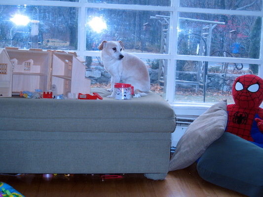 Emily watching the tree decoration (12-02-2007 08:24)