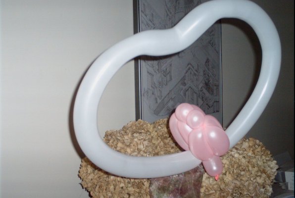 Lovebirds Balloon