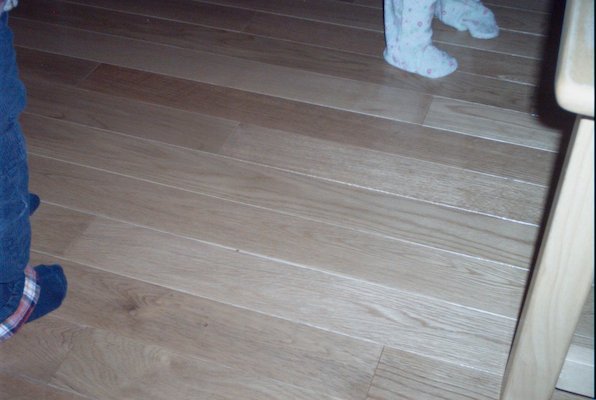 IMG_0603 (12-30-2007 13:35)