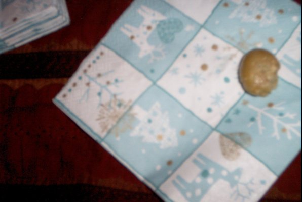 IMG_0607 (12-30-2007 13:35)