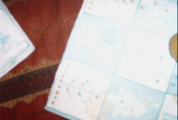 IMG_0609 (12-30-2007 13:35)