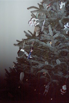 IMG_0633 (12-30-2007 19:58)