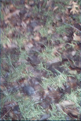 IMG_0652 (01-01-2008 10:08)