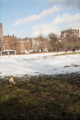 IMG_0653 (01-01-2008 10:07)