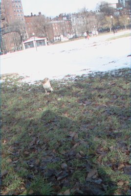 IMG_0654 (01-01-2008 10:08)