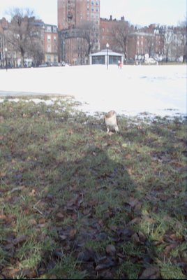 IMG_0655 (01-01-2008 10:08)