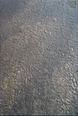 IMG_0658 (01-01-2008 10:08)