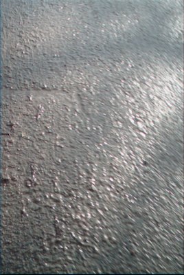 IMG_0659 (01-01-2008 10:08)