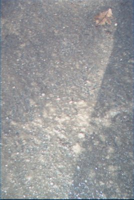 IMG_0660 (01-01-2008 10:08)