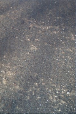 IMG_0661 (01-01-2008 10:08)