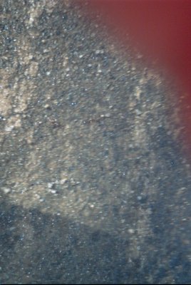 IMG_0662 (01-01-2008 10:09)