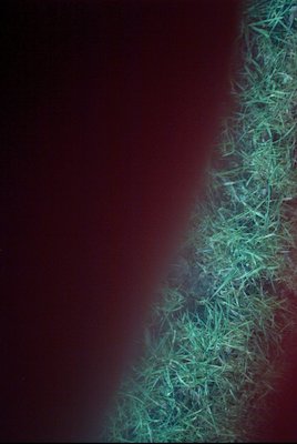 IMG_0663 (01-01-2008 10:09)