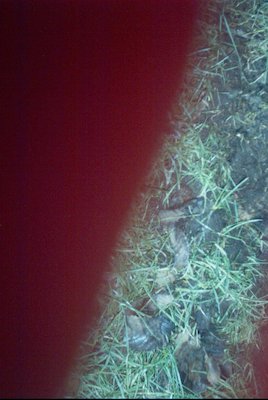 IMG_0664 (01-01-2008 10:09)