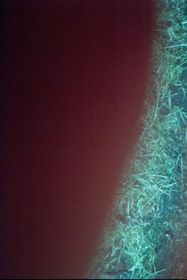 IMG_0665 (01-01-2008 10:09)