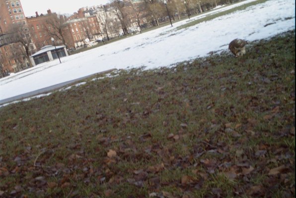 IMG_0666 (01-01-2008 10:04)