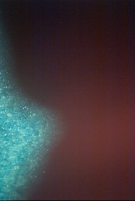 IMG_0667 (01-01-2008 10:10)