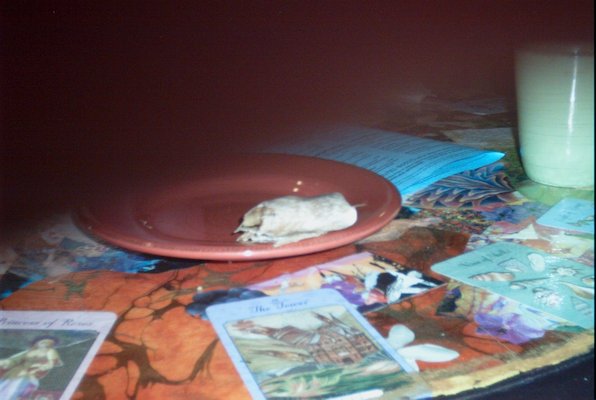 IMG_0675 (01-27-2008 22:48)