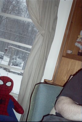 IMG_0713 (02-02-2008 13:41)