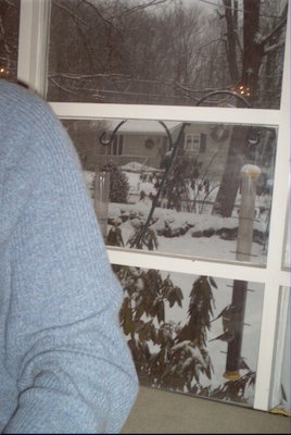 IMG_0718 (02-02-2008 13:42)