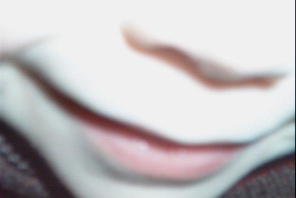 IMG_0723 (02-02-2008 13:31)