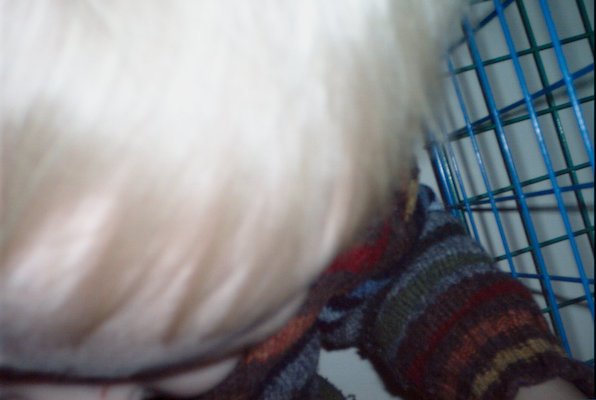 IMG_0729 (02-02-2008 13:31)