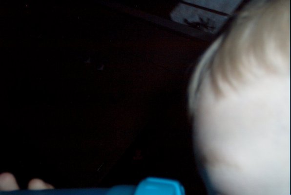 IMG_0736 (02-02-2008 13:32)