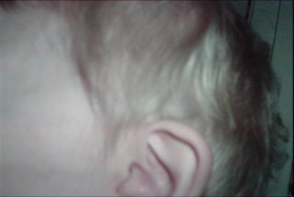 IMG_0741 (02-02-2008 13:32)