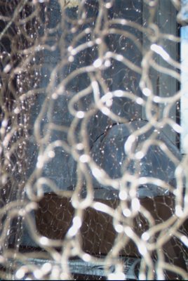 IMG_0764 (02-02-2008 20:09)