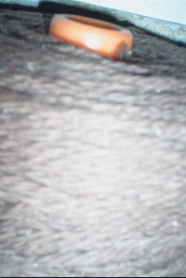 IMG_0765 (02-02-2008 20:09)