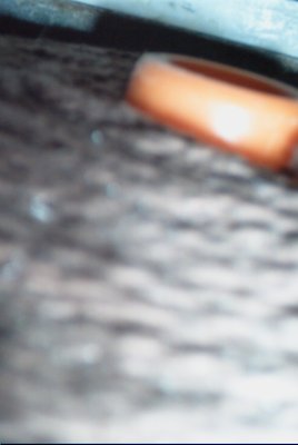 IMG_0766 (02-02-2008 20:09)