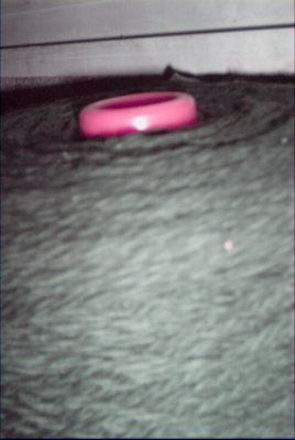 IMG_0768 (02-02-2008 20:09)