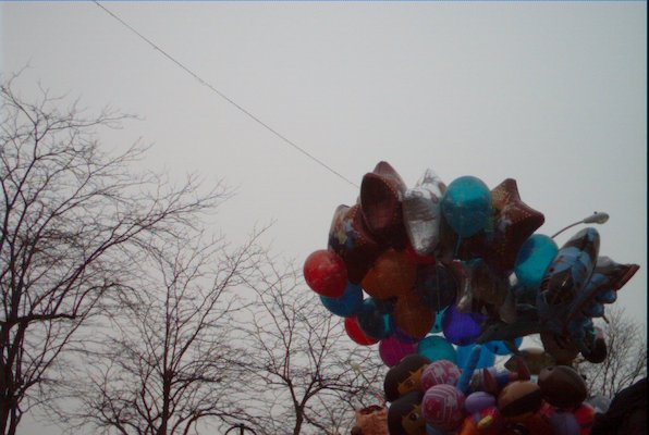 IMG_0794 (02-16-2008 07:32)