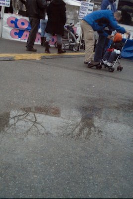 IMG_0795 (02-16-2008 07:35)