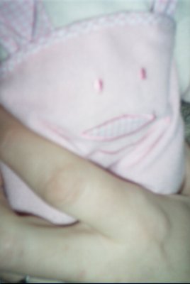 IMG_0803 (02-16-2008 07:36)