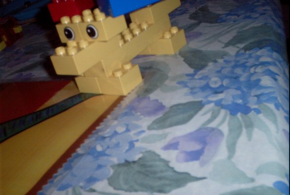 IMG_0816 (02-16-2008 07:32)