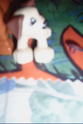 IMG_0821 (02-16-2008 07:38)