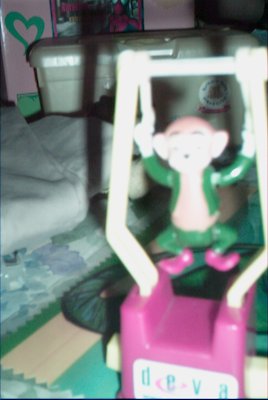 IMG_0827 (02-16-2008 07:39)