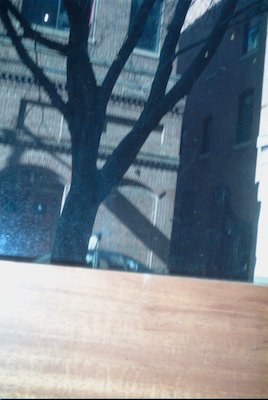 IMG_0847 (03-04-2008 07:43)