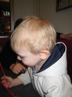 Cole (by Tim) (02-29-2008 16:20)