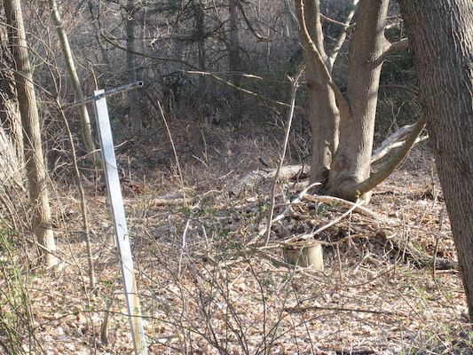 Woodpecker (04-22-2008 07:19)