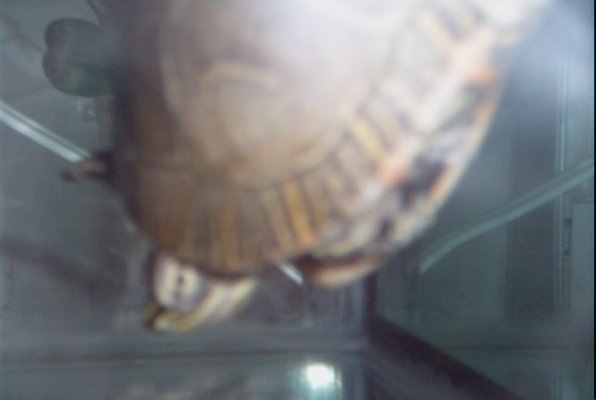 IMG_0885 (05-07-2008 21:59)