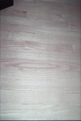 IMG_0887 (05-07-2008 21:59)