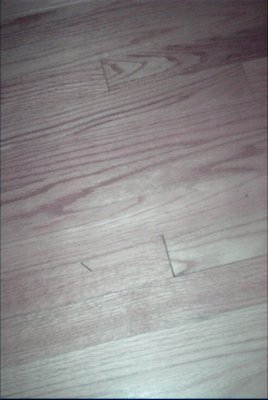 IMG_0889 (05-07-2008 21:59)