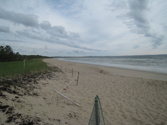 Ferry Beach [STA] (05-10-2008 07:53)