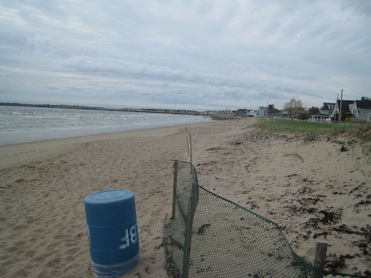 Ferry Beach [STF] (05-10-2008 07:54)