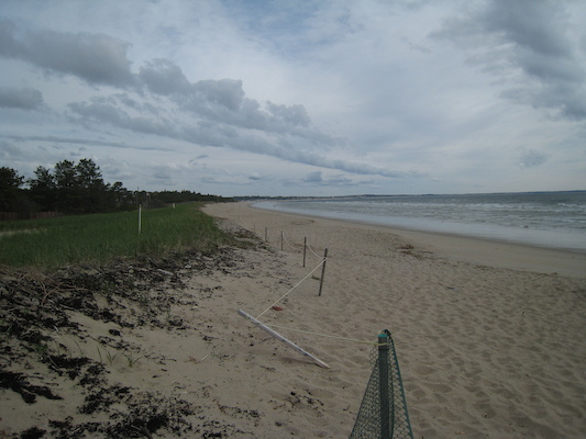 Ferry Beach [STA] (05-10-2008 07:54)