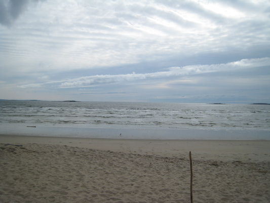 Ferry Beach [STE] (05-10-2008 07:54)