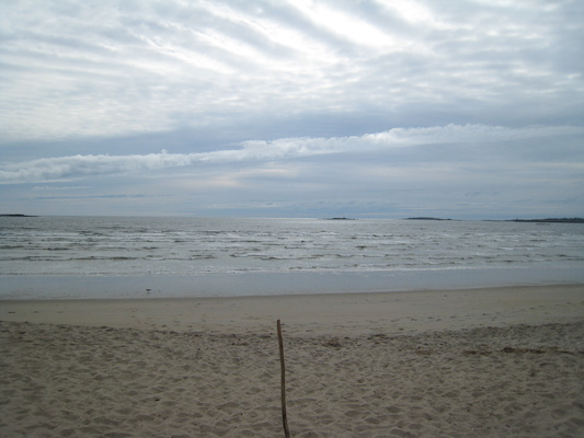 Ferry Beach [STF] (05-10-2008 07:54)