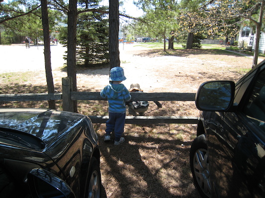 Cole and Tim collecting (05-11-2008 10:25)