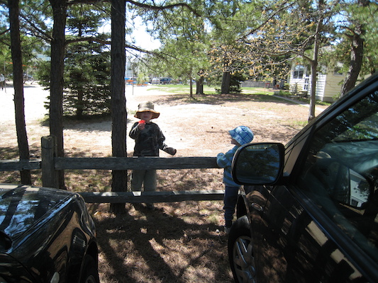 Tim and Cole collecting (05-11-2008 10:25)